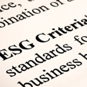 Scope offers a new perspective on sustainable finance and corporate ESG impact